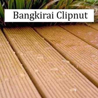 Bangkirai Clipnut
